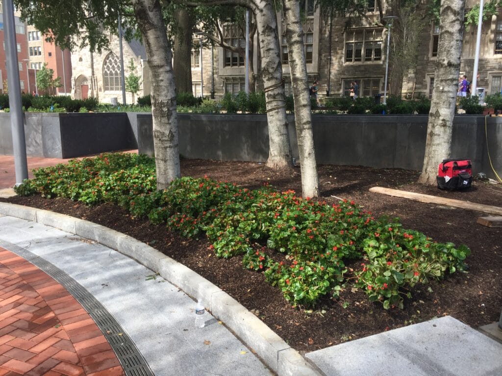 Radius trench drain in walkway at university by Dura Trench