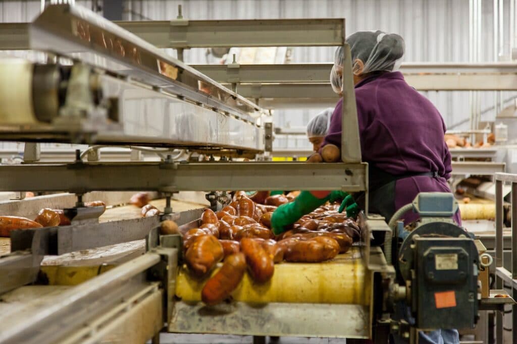 Trench Drains for Food Processing