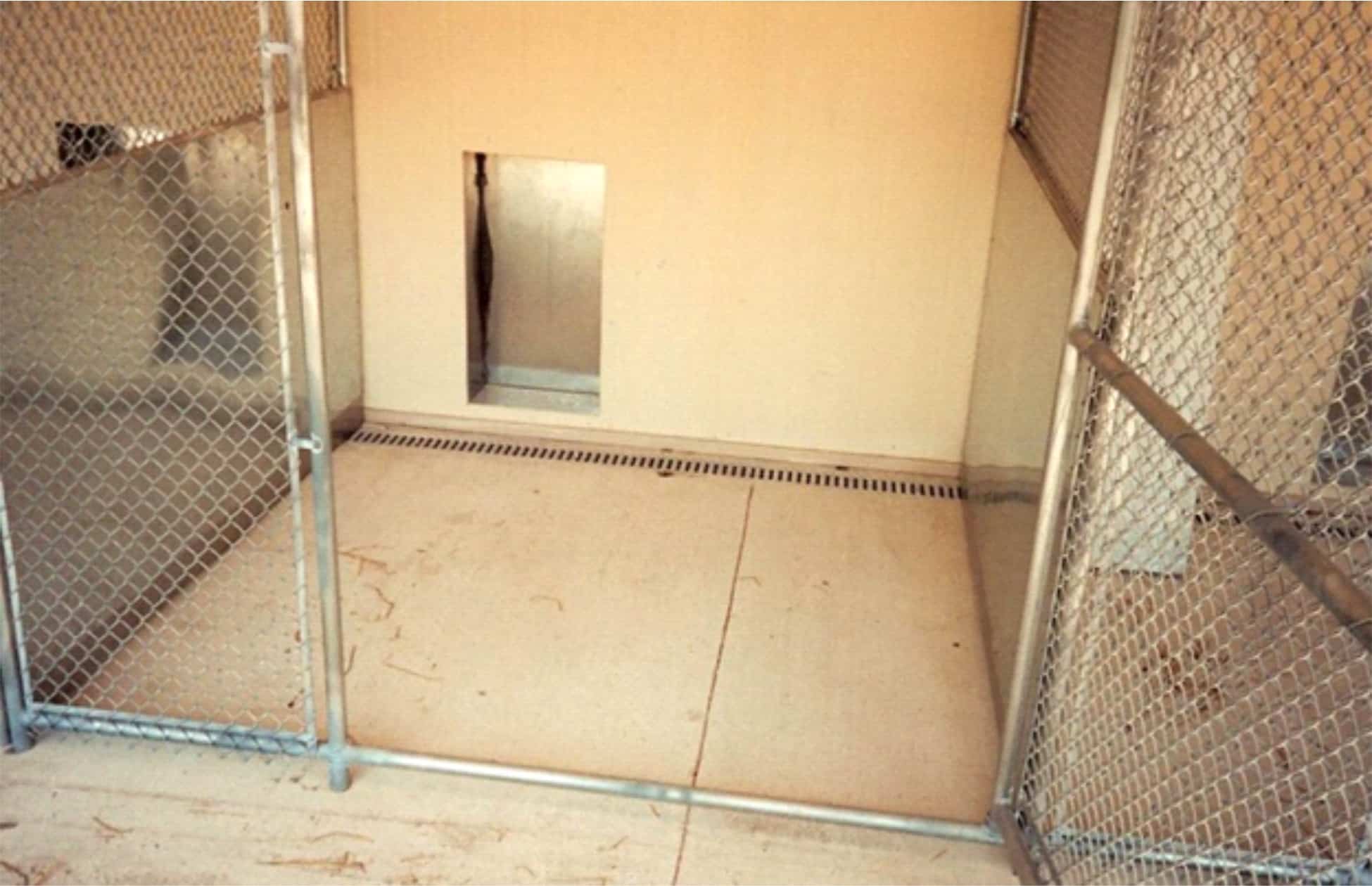 Trench Drain Systems for Animal Hospitals, Kennels, Vet Clinics & Pet